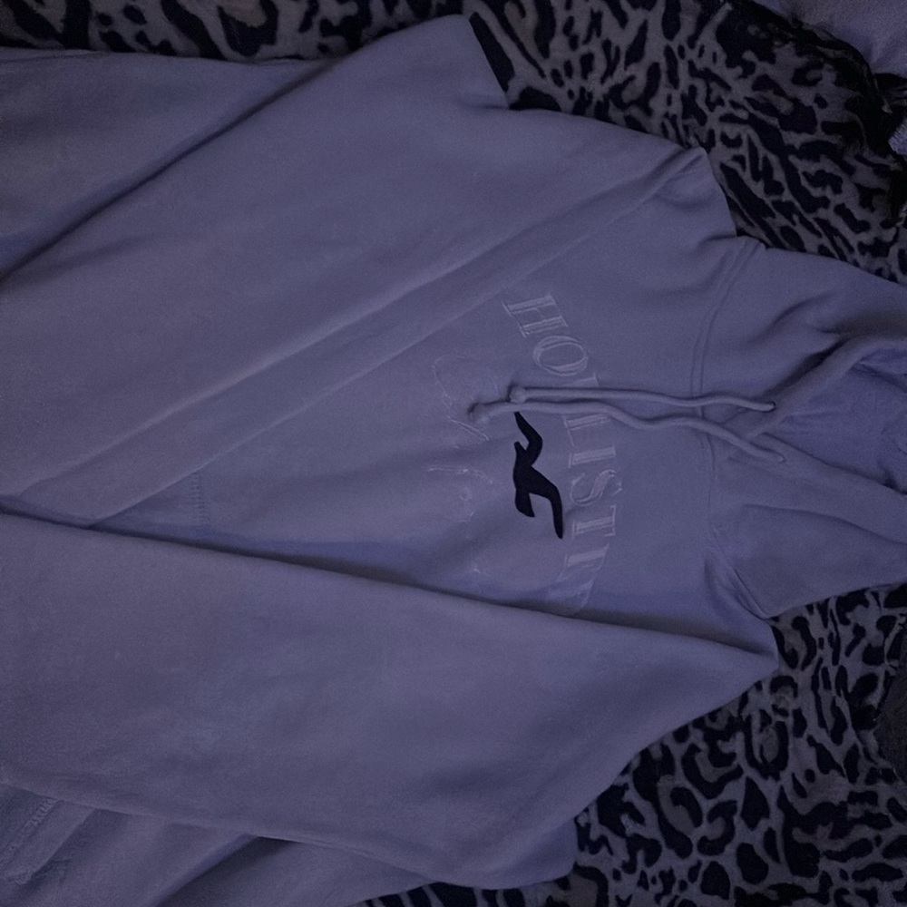 size medium, brand, holister